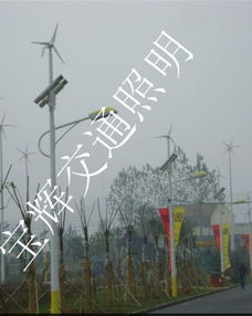 廠家供應(yīng)海南省三亞市8米42w風(fēng)光互補(bǔ)太陽能路燈產(chǎn)品圖片高清大圖