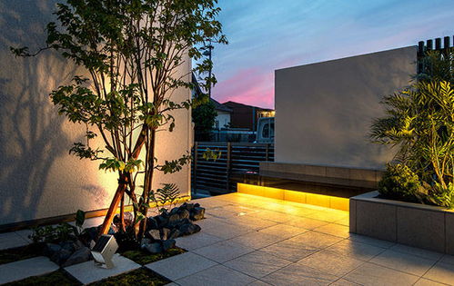 植物景觀照明設計四大原則及常見照明方式