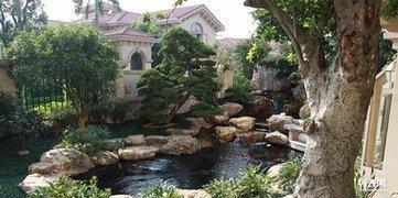 南海區(qū)鹽步工廠園林綠化養(yǎng)護別墅假山魚池綠化景觀設計