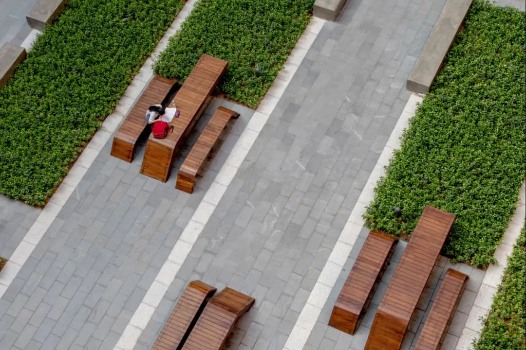 童年與青春 兩個學校景觀設計的營造之美